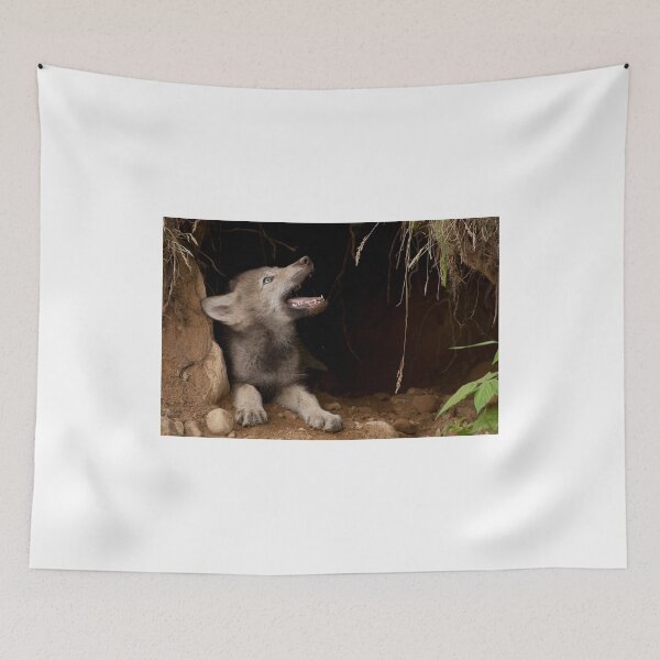 Item preview, Who's There designed and sold by Tracey  Dryka.