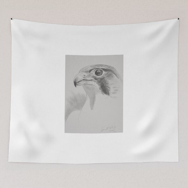 Item preview, peregrine study designed and sold by threefishes.