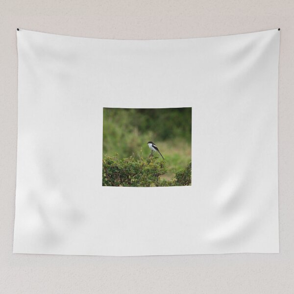Item preview, Common Fiscal on Masai Mara designed and sold by Sue Robinson.