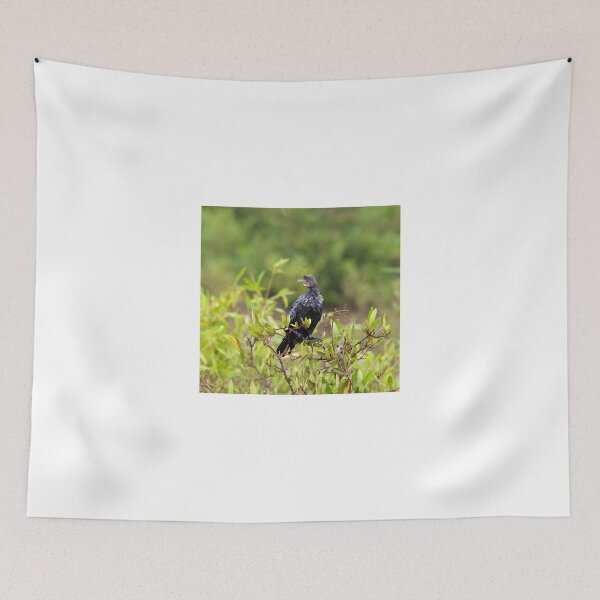Item preview, Long-tailed Cormorant designed and sold by Sue Robinson.