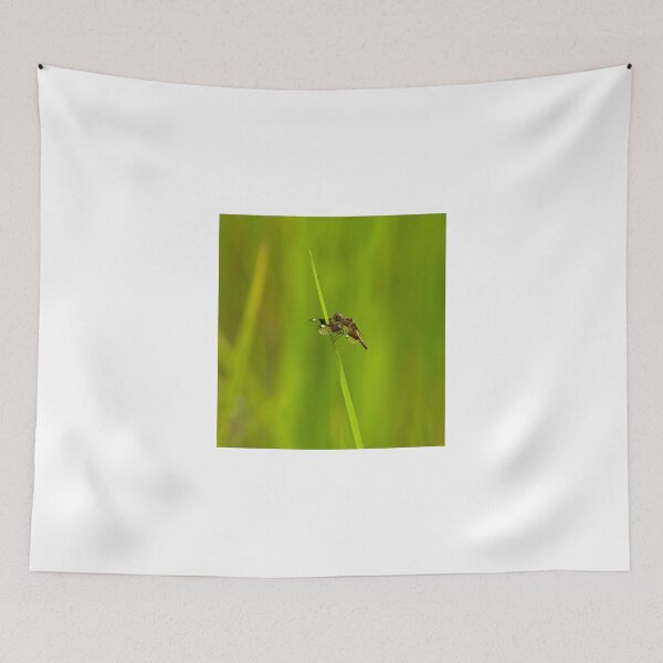 Item preview, St. Lucia Widow Dragonfly designed and sold by Sue Robinson.