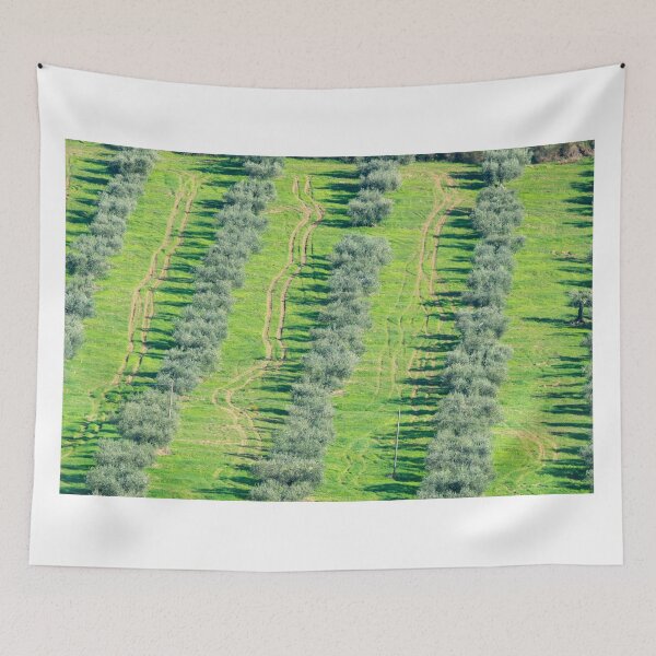 Item preview, Olive grove patterns, Lago Trasimeno, Umbria designed and sold by AndrewJonesFoto.