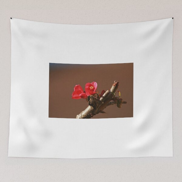 Item preview, Chaenomeles flower designed and sold by Sue Robinson.