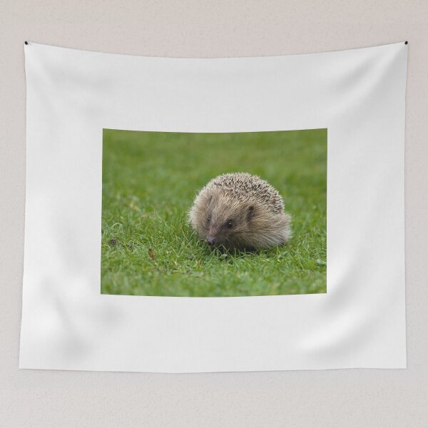 Item preview, Hedgehog designed and sold by Sue Robinson.