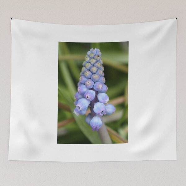 Item preview,  Boy Blue designed and sold by coffeebean.