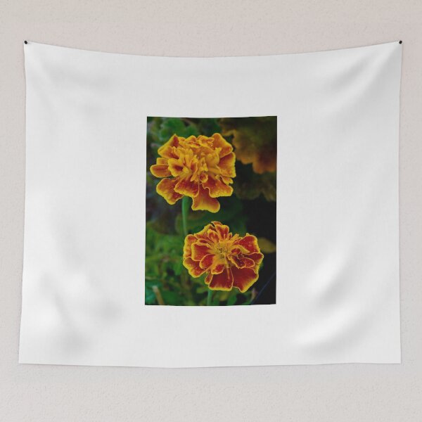 Item preview, Marigolds by sunset designed and sold by Harv Churchill.