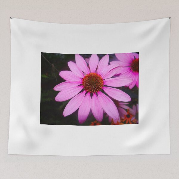 Item preview, Cone Flower designed and sold by FedericoArts.