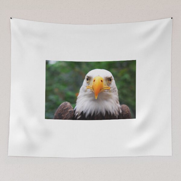 Item preview, Eye to Eye with A Bald Eagle designed and sold by Jo Nijenhuis.