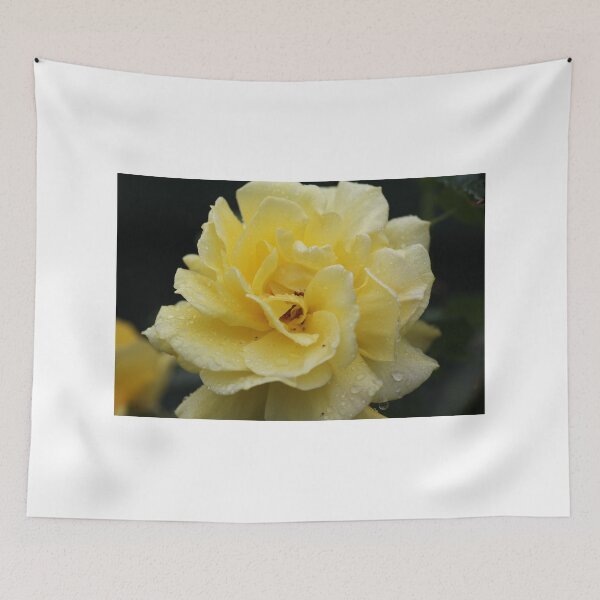 Item preview, A rain soaked Gold Bunny Rose in full bloom designed and sold by Brett Conlon.
