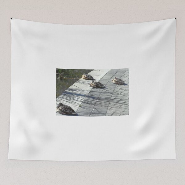 Item preview, Sitting Ducks designed and sold by RobynLee.
