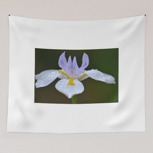 Item preview, Iris designed and sold by TheaShutterbug.