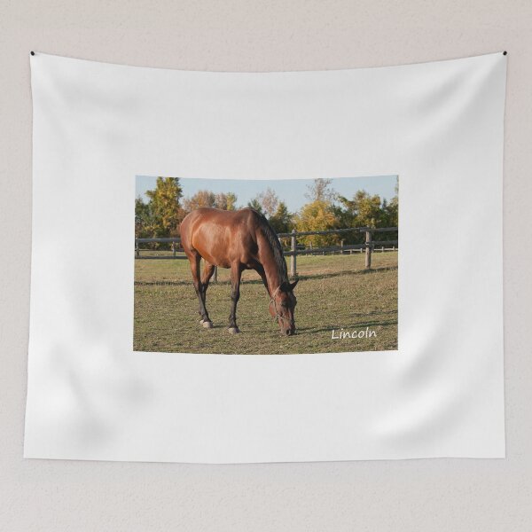 Item preview, Lincoln - NNEP Ottawa, Ontario designed and sold by Tracey  Dryka.