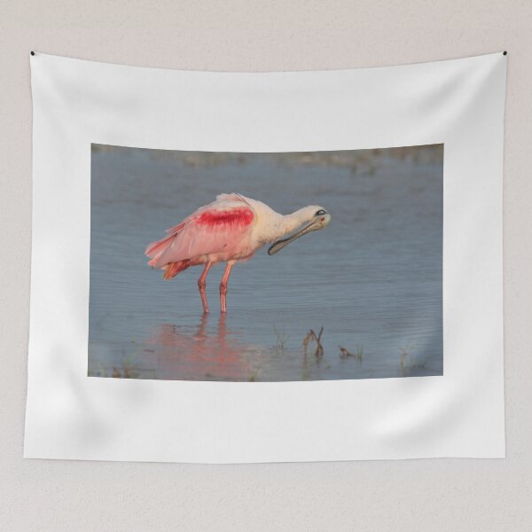Item preview, what is that down there ? designed and sold by kathy s gillentine.