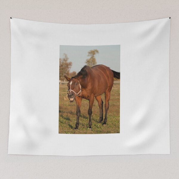 Item preview, Letting Loose! - Joy NNEP Ottawa, ON designed and sold by Tracey  Dryka.