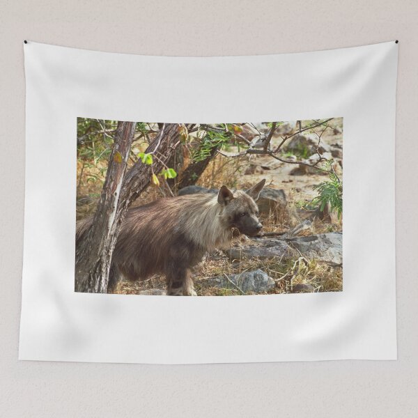 Item preview, Brown Hyena, South Africa designed and sold by GrahamCSmith.