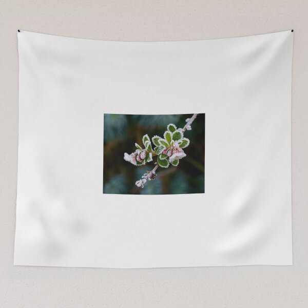 Item preview, Escallonia and Frost designed and sold by Sue Robinson.