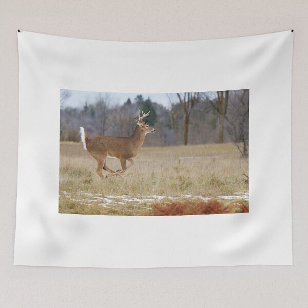 Item preview, Deer Run - White-tailed deer designed and sold by James Cumming.