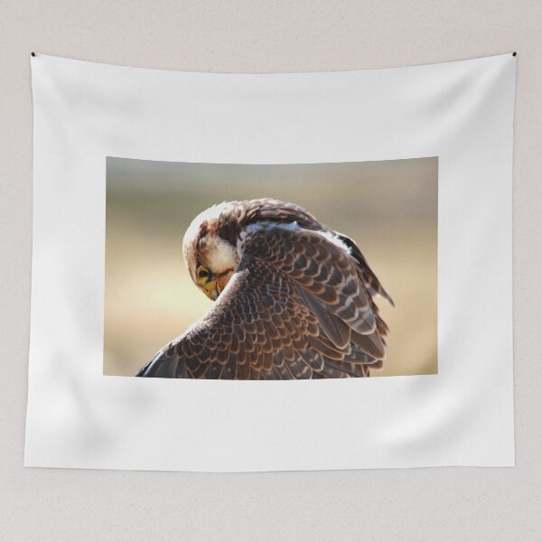Item preview, Lanner Falcon designed and sold by Larry Trupp.