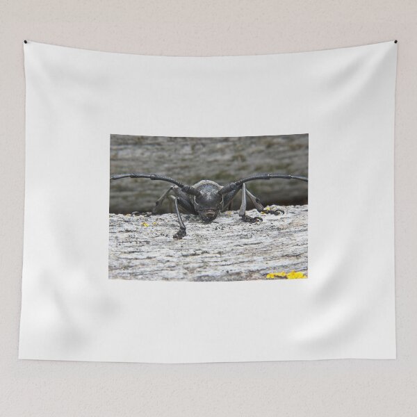 Item preview, Longhorn Beetle designed and sold by GrahamCSmith.