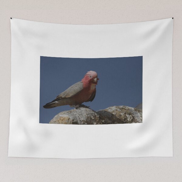 Item preview, Pinnacles Galahs Pt.1 designed and sold by Stuart Daddow Photography.