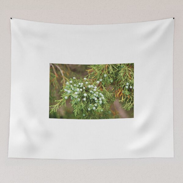 Item preview, Juniper Berries designed and sold by mcstory.