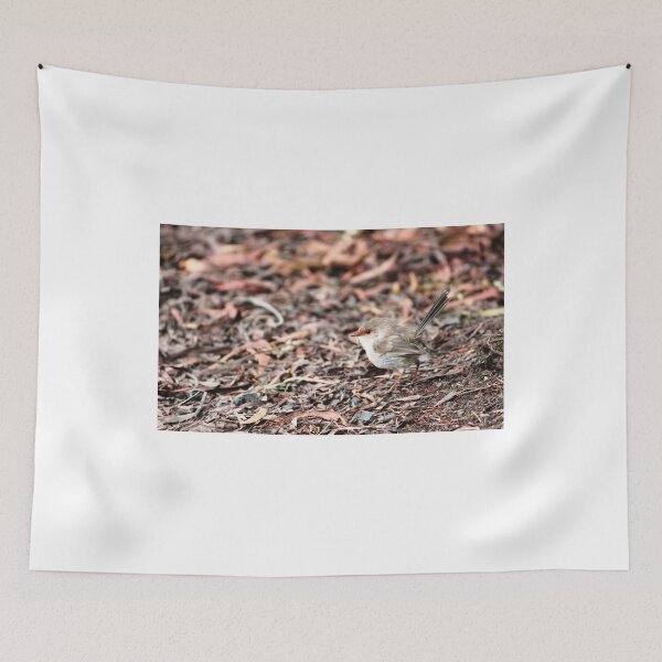 Item preview, Fairy Wren (Malurus cyaneus) - Brown designed and sold by Michael Humphrys.