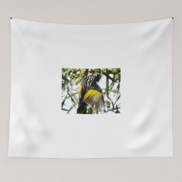 Item preview, Newholland Honeyeater- in my garden designed and sold by EdsMum.
