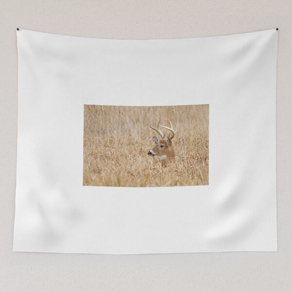 Item preview, In the marsh - White-tailed deer designed and sold by James Cumming.