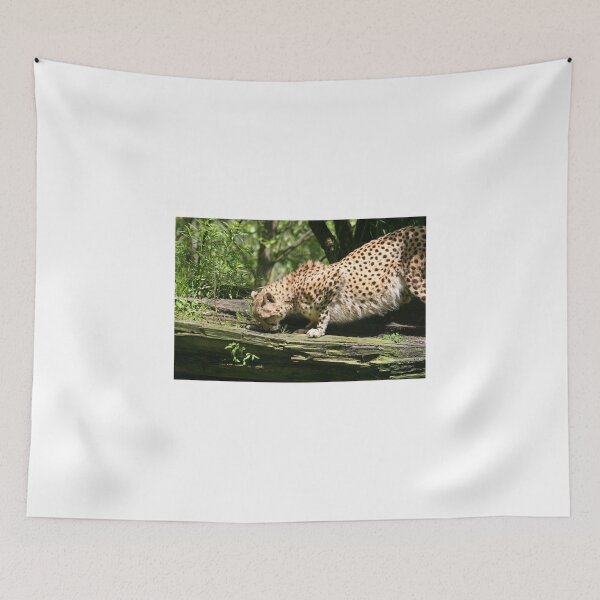 Item preview, Cheetah On The Prowl designed and sold by Yvette Bielert.