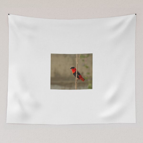 Item preview, Northern Red Bishop designed and sold by Sue Robinson.