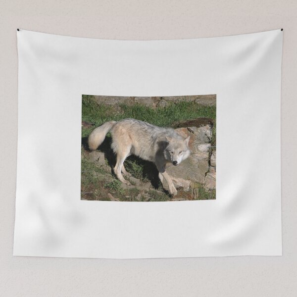 Item preview, I have my eye on you! designed and sold by vette.