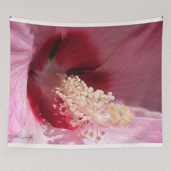 Item preview, Hibiscus Moscheutos named Luna Pink Swirl designed and sold by JMcCombie.