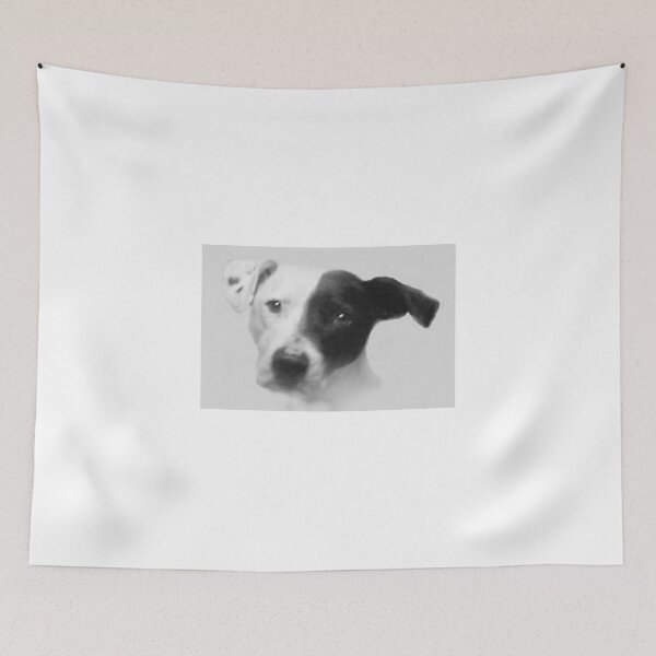 Item preview, Shiner Dog designed and sold by shinerdog.