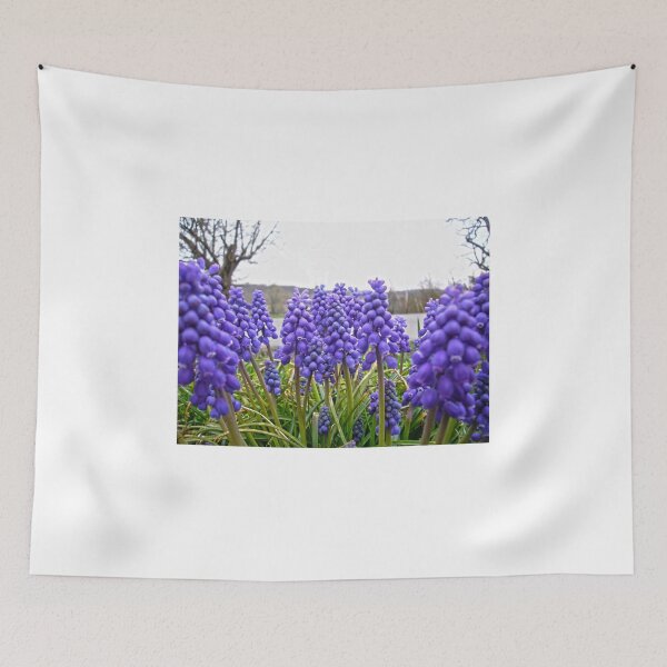 Item preview, An ocean of Grape Hyacinth designed and sold by Frankie Cat Photography.
