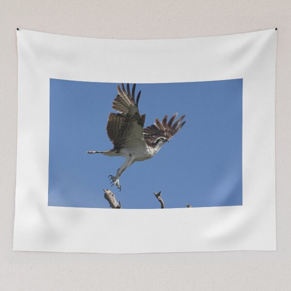 Item preview, up & away designed and sold by kathy s gillentine.