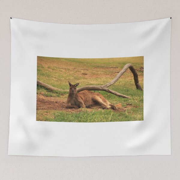 Aperçu de l'œuvre Australian Wildlife - Kangaroo créée et vendue par Brett Conlon.