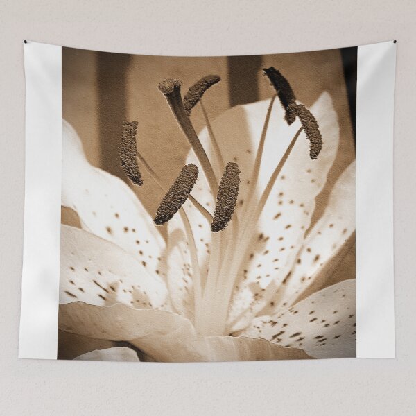 Item preview, Oriental Lily named Muskadet designed and sold by JMcCombie.