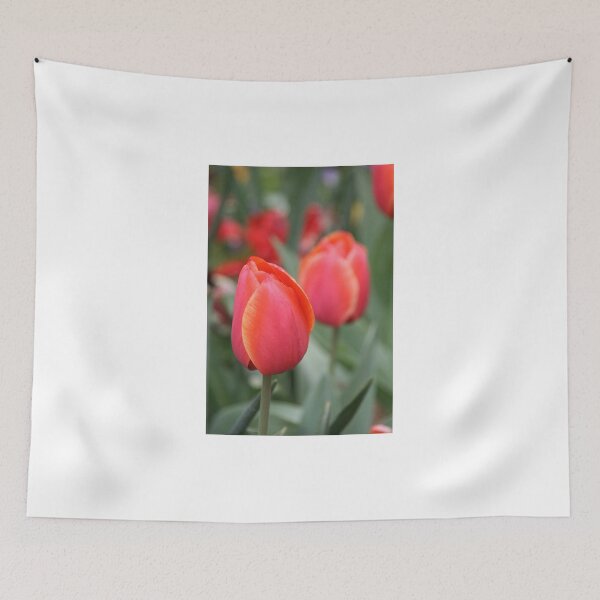 Item preview, A tulip or two, Floriade,2011,Canberra,Australia. designed and sold by elphonline.