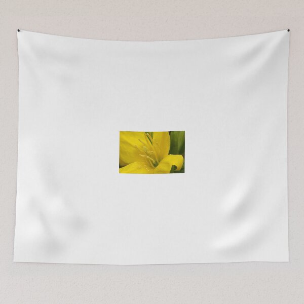 Item preview, Primrose ~ Yellow Delight ~ close-up designed and sold by steppeland.