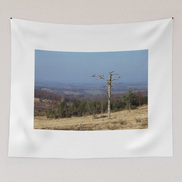 Item preview, Lone Tree on Ashdown Forest designed and sold by Sue Robinson.
