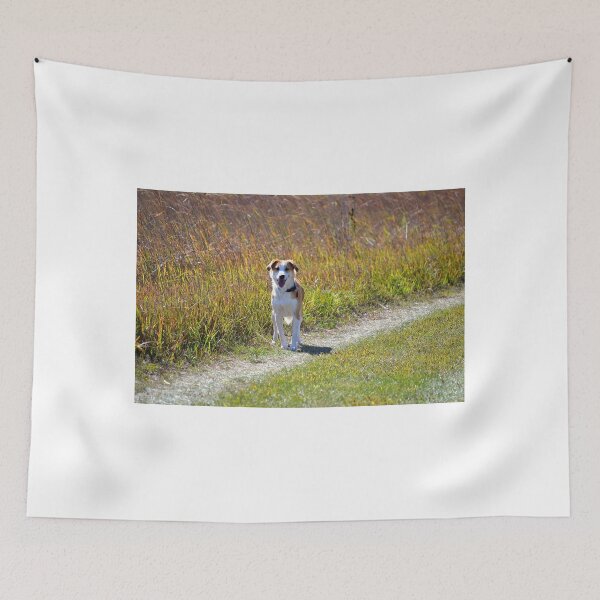 Item preview, Maisy on the Prairie designed and sold by Brian Gaynor.