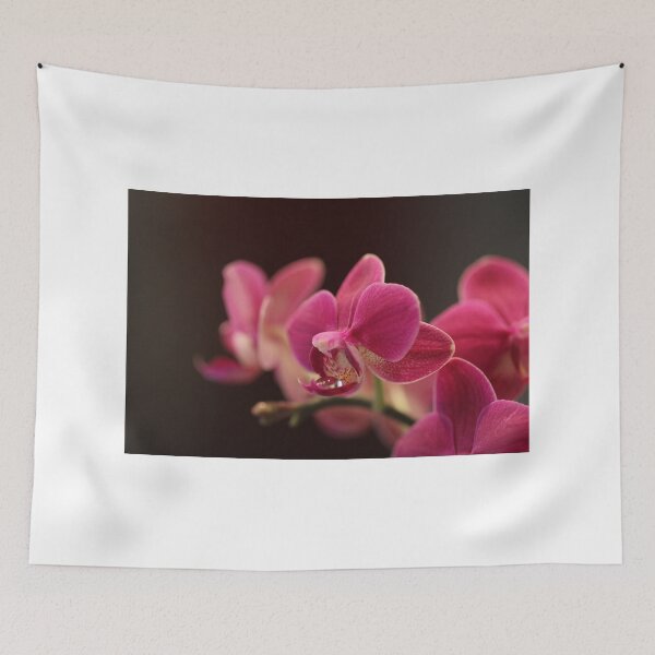 Item preview, Phalaenopsis Multiflora designed and sold by Jan Vinclair.