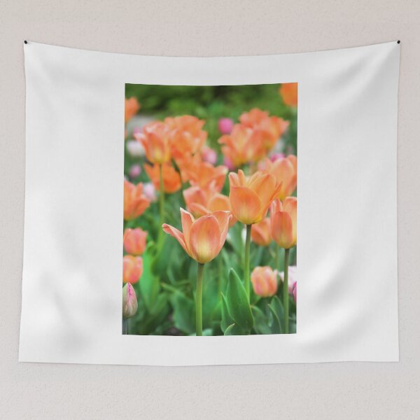 Item preview, Tulips designed and sold by Paula Bielnicka.