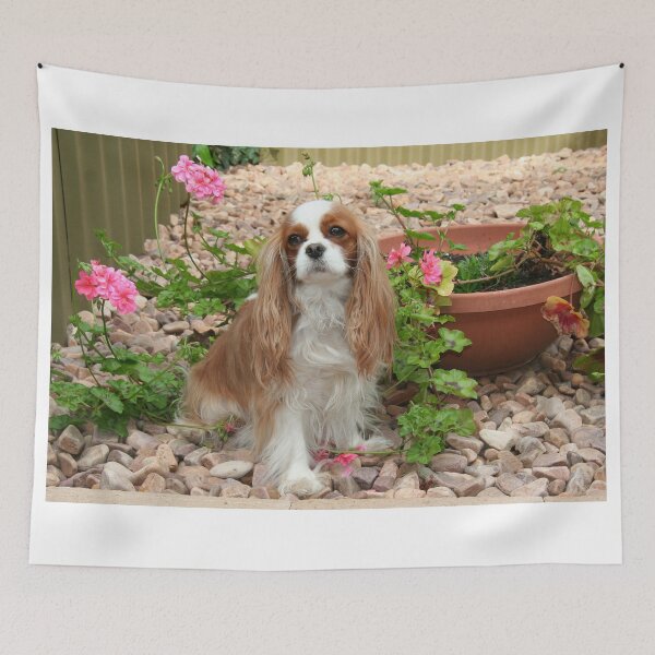 Item preview, Mischa  designed and sold by Jenny Brice.