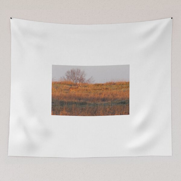 Item preview, Buck on Hillside - White-tailed deer designed and sold by James Cumming.