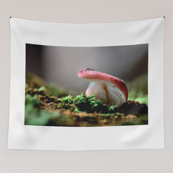 Item preview, Russula sp. designed and sold by Erin Anderson.
