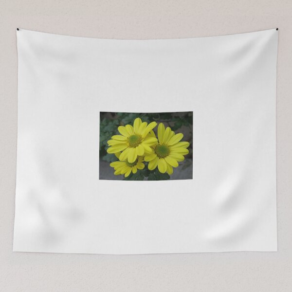 Item preview, Sunshine Babes Trio designed and sold by Kathryn Jones.