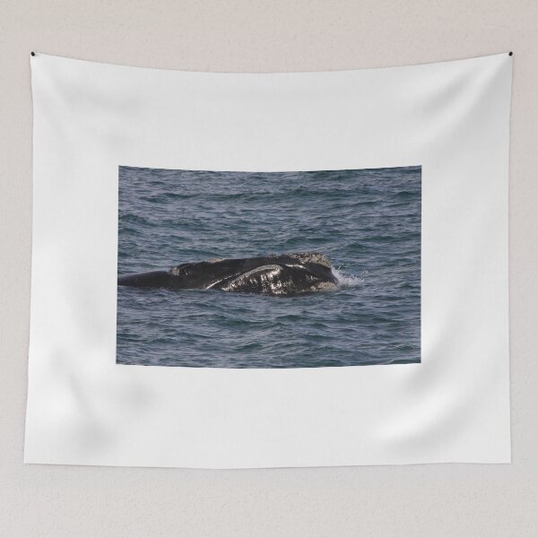 Item preview, Victor Harbor Southern Right Whales Pt.9 designed and sold by Stuart Daddow Photography.