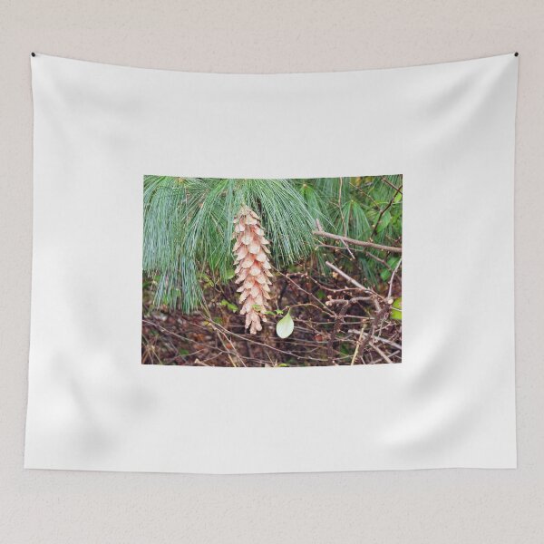 Item preview, Conifer in Late Autumn designed and sold by MidnightMelody.