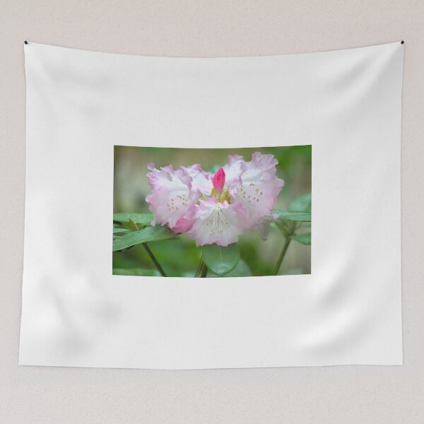 Item preview, Frilly Pinks designed and sold by Diego Re.